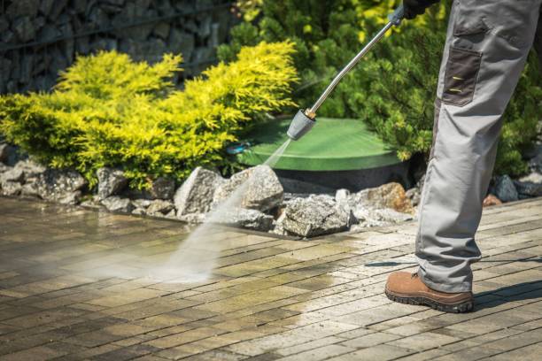 Best Gutter Cleaning  in Pulaski, NY